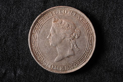 一八六六年的一元硬币图片
