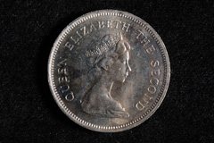 一九七八年的一元硬幣圖片